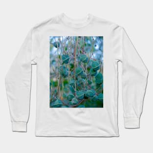 Cute succulent Long Sleeve T-Shirt